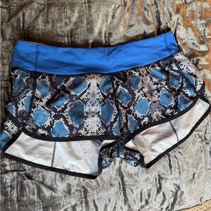 Blue Snake Print Women's Shorts